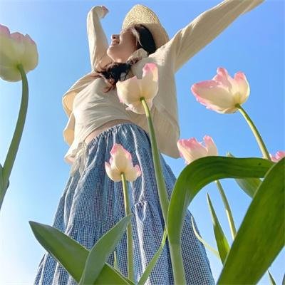 天使谋杀疑云